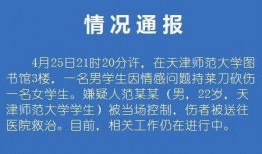 情感新闻爆料,感人至深的情感故事揭露人间真情