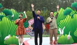 向阳生活爆料最新消息视频,揭秘视频背后的惊人真相！